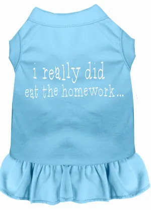 I Really Did Eat The Homework Screen Print Dress Baby Blue Xl