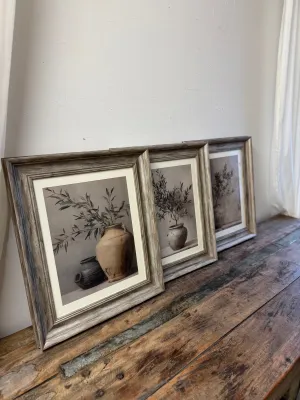 Olive Prints
