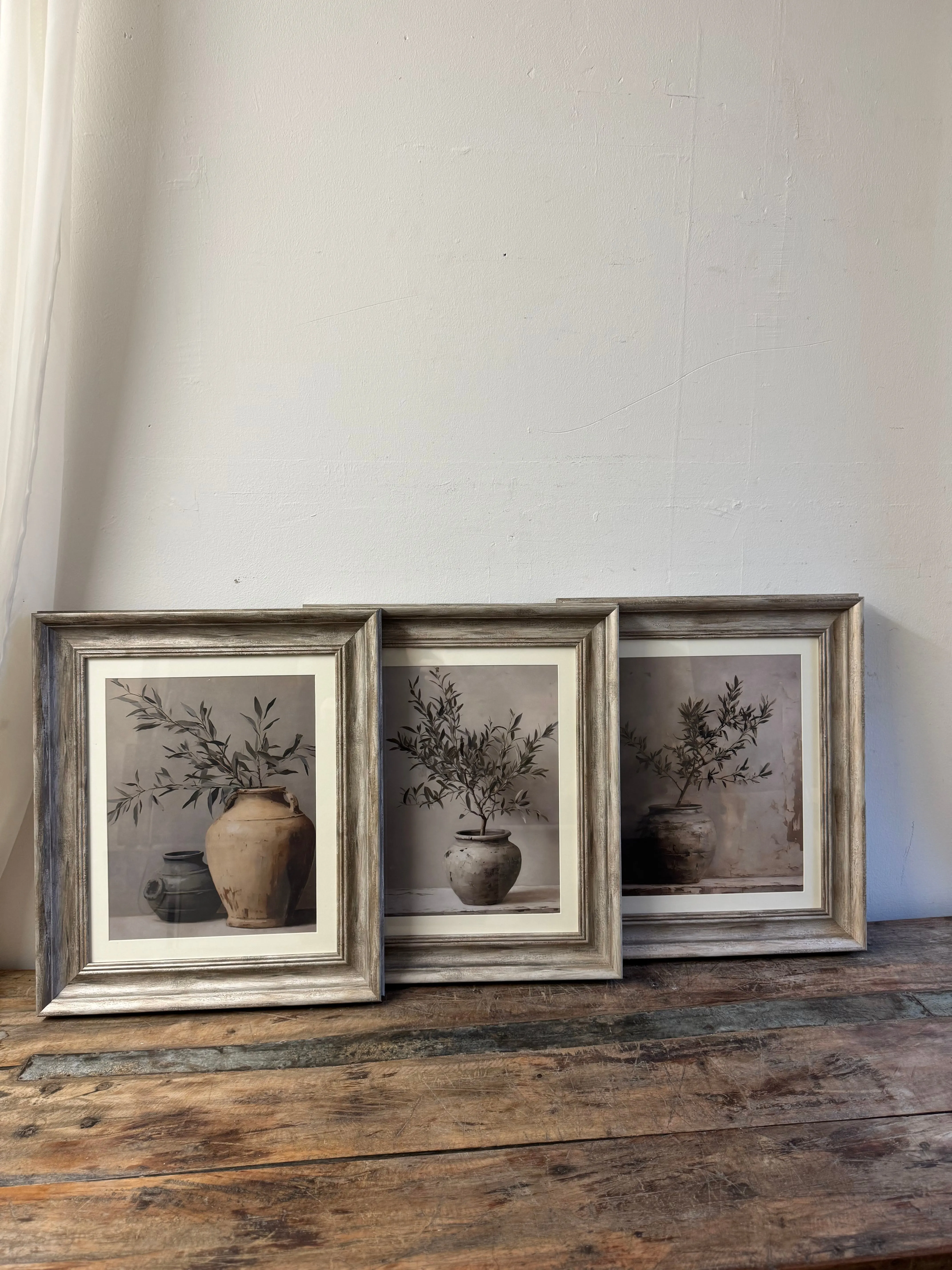 Olive Prints