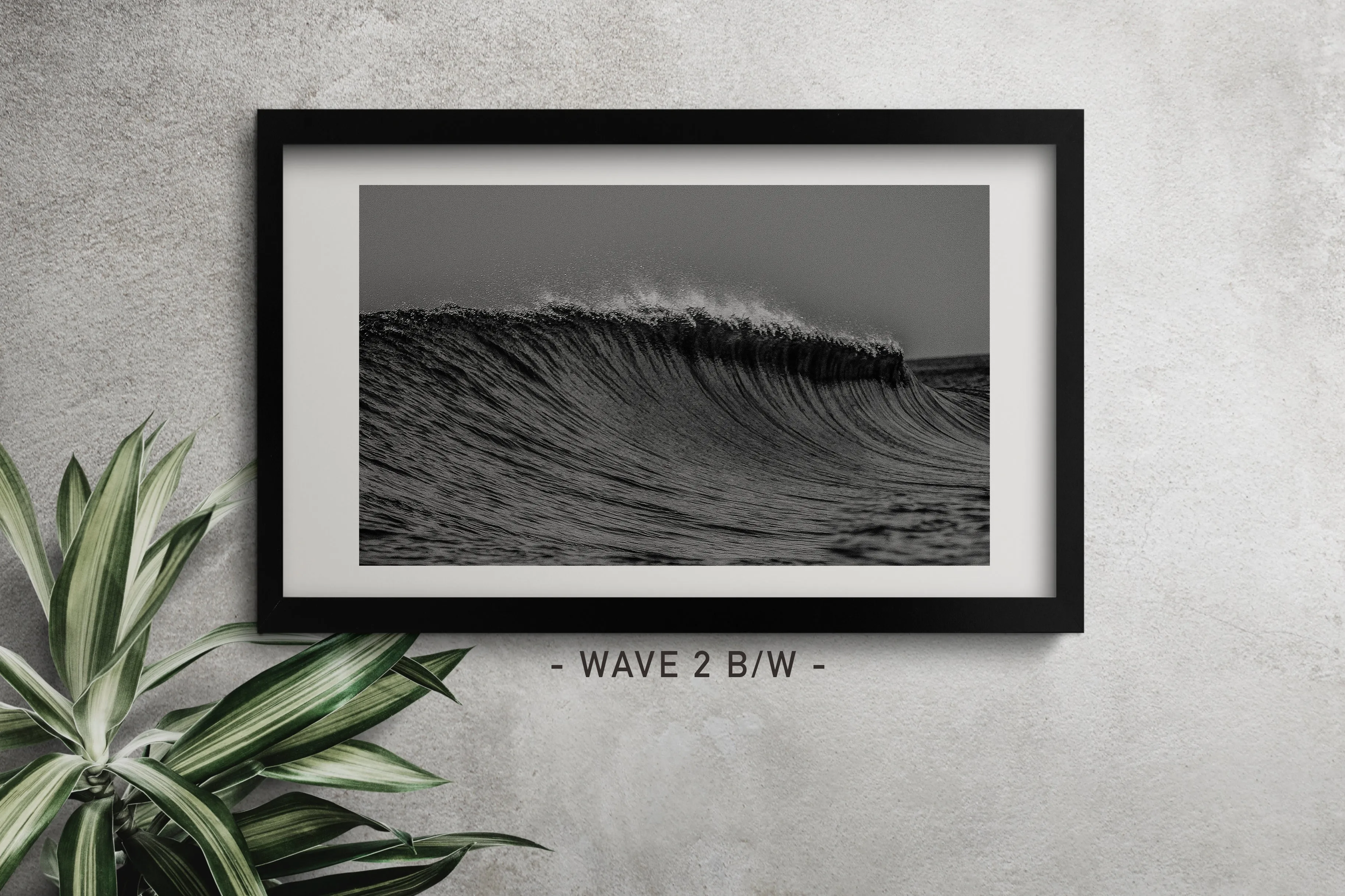 PRINTS AND FRAME