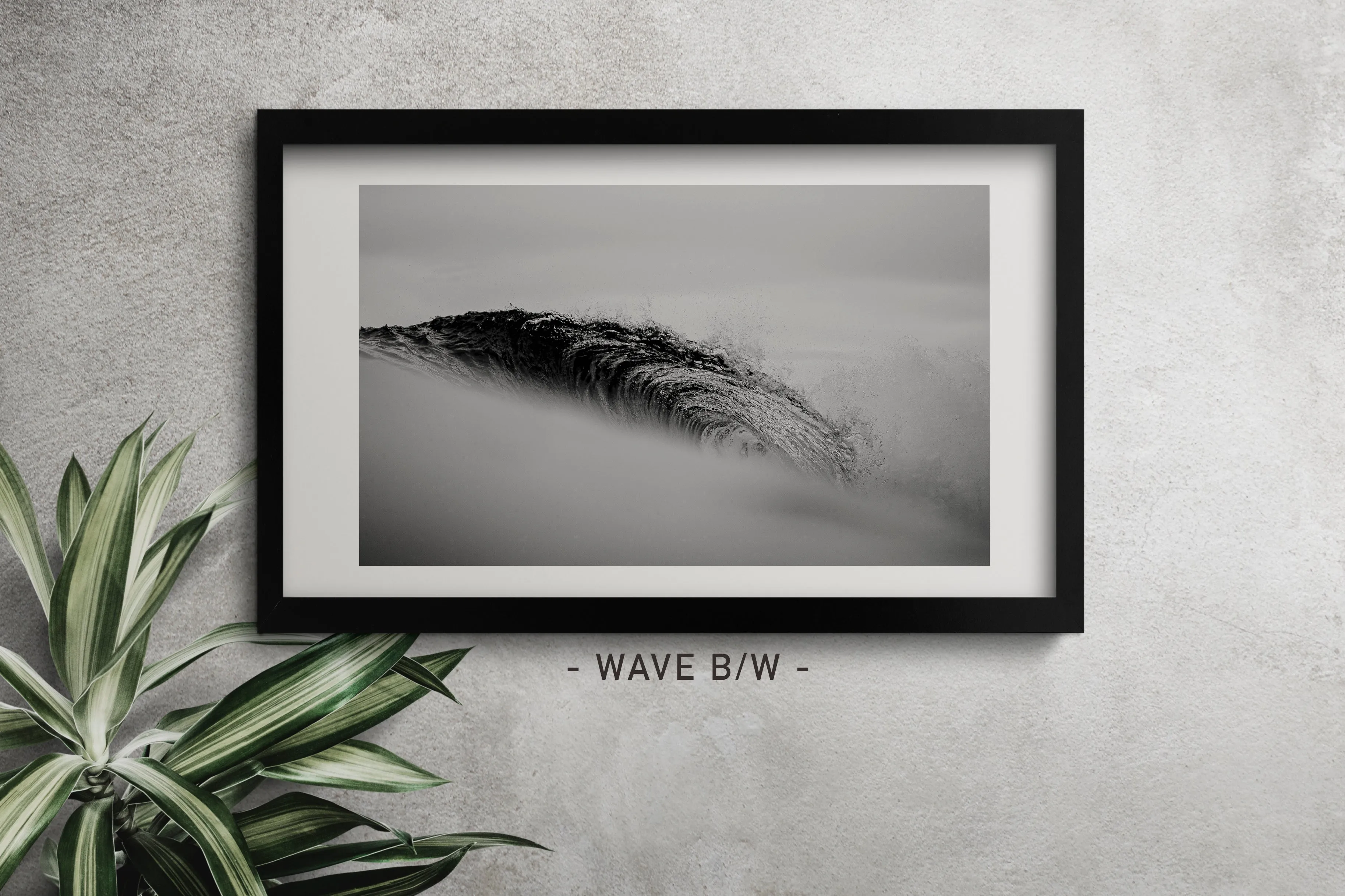PRINTS AND FRAME
